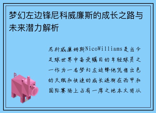 梦幻左边锋尼科威廉斯的成长之路与未来潜力解析